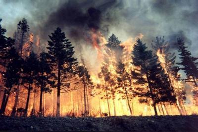 В Иркутской области во время тушения пожара сами пожарные едва ни стали жертвами разбушевавшейся стихии