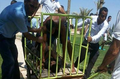 Спецслужбы Египта задержали преступника, нанесшего увечья и порезавшего ножом шестерых отдыхавших