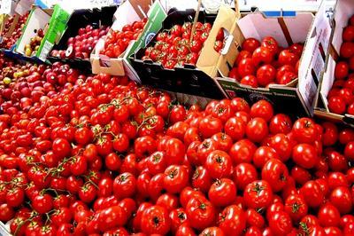 В Турции заявили, что устали ждать снятия ограничений на ввоз томатов в РФ, и готовы на контрмеры