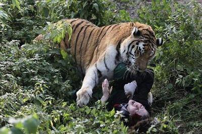 Сотрудница калининградского зоопарка, на которую напал тигр, доставлена в БСП