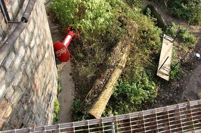 Сотрудница калининградского зоопарка, на которую напал тигр, доставлена в БСП