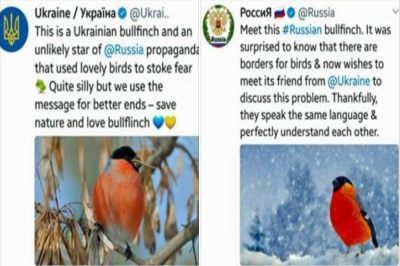 Мария Захарова отреагировала на «обвинения» Украины «в насильственной русификации снегирей»