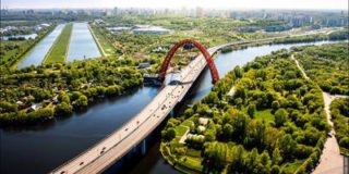 В столичном парке выявлены клещи-носители вируса энцефалита