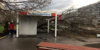 Мэр Москвы предупредил о новой опасности. Куда дальше пойдет ураган