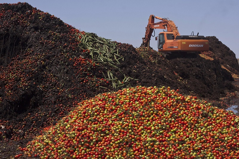 Россельхознадзор уничтожил более 6 тонн украинских томатов в Псковской области