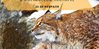Московский зоопарк приглашает отметить Всемирный день экскурсовода