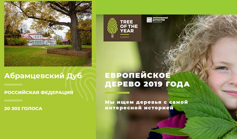 Российское дерево года 2019