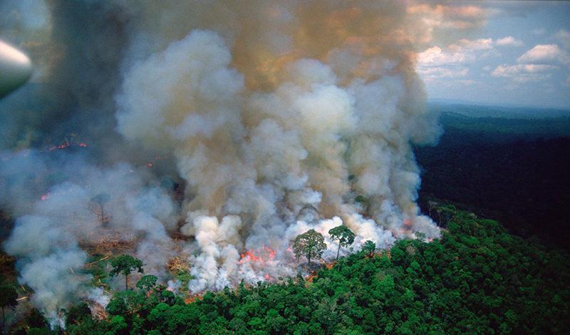 Макрон призвал обсудить пожары в лесах Амазонки на саммите