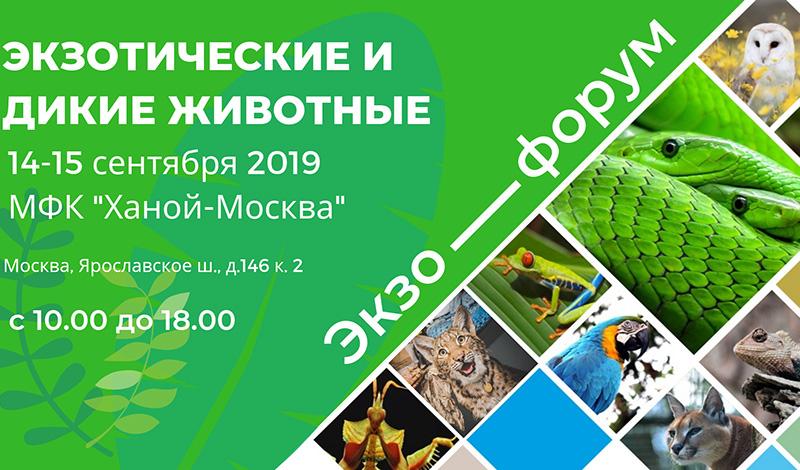 Экзофорум 2019: выставка экзотических и диких животных