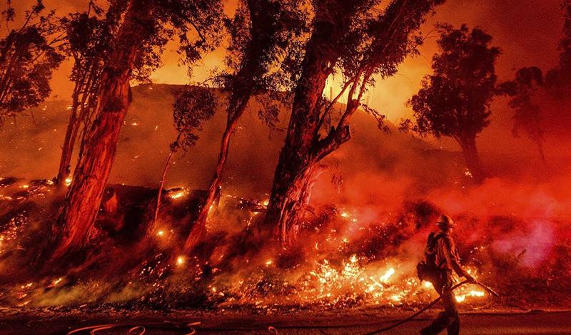 Австралийские лесные пожары:объявлено чрезвычайное положение 