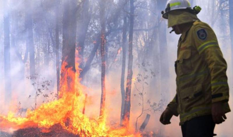 Беспрецедентные пожары бушуют в Австралии
