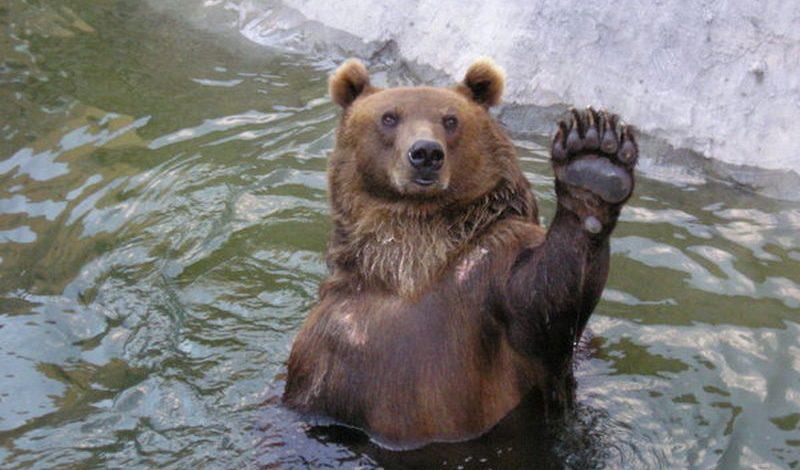 Московский зоопарк переходит на зимнее расписание