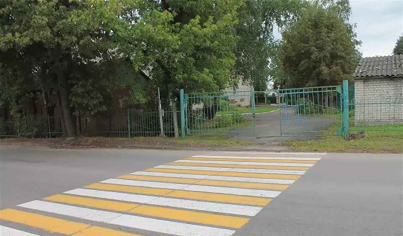 Московские активисты ОНФ пешеходного перехода школы в Восточном Дегунино