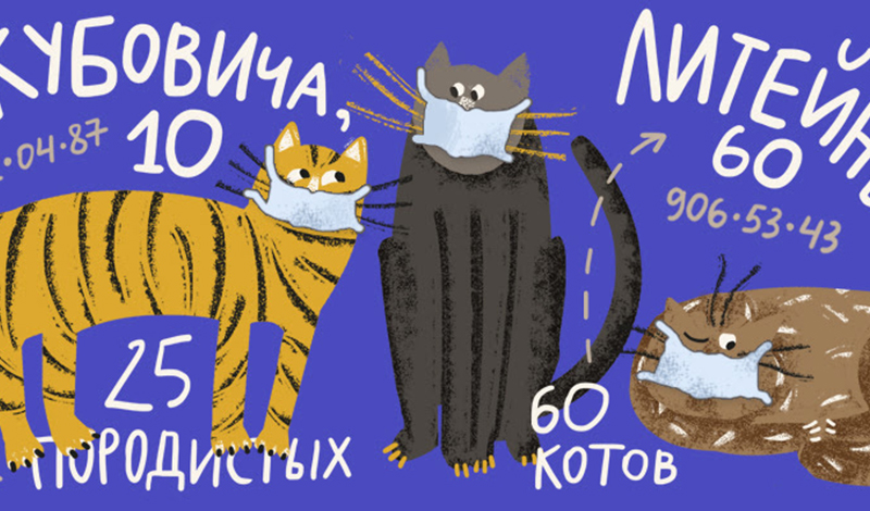 Котики VS коронавирус