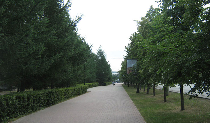 В центре Челябинска посадят 1300 деревьев и 30 тысяч кустарников