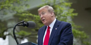Дональд Трамп: США прекратит финансирование ВОЗ