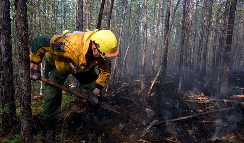 О лесопожарной обстановке в России в период с 13 по 19 апреля 2020 года