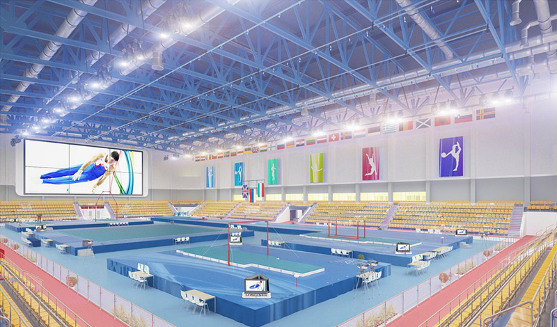 Центр мужской гимнастики построят в Воронеже к концу года