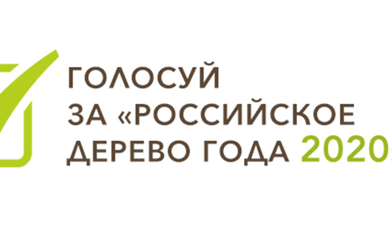 Конкурс "Российское дерево года 2020"