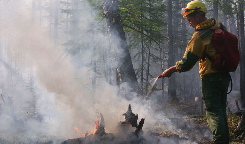 За апрель в 11 регионах ЦФО потушено 265 лесных пожаров