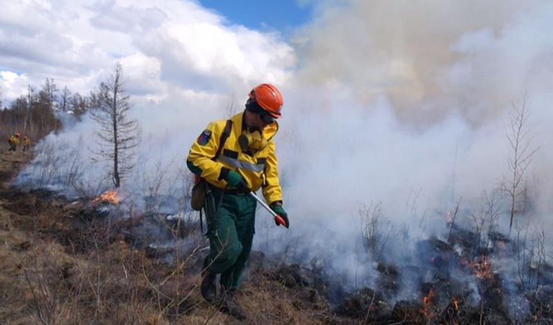За неделю с 4 по 10 мая лесопожарные службы ликвидировали в 39 регионах