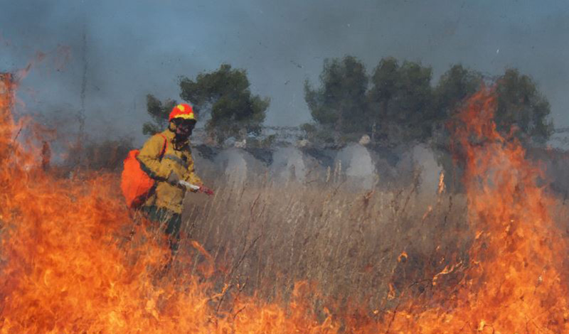 Прибывшие в Забайкальский край парашютисты-десантники Авиалесоохраны остановили лесной пожар у села Авдей