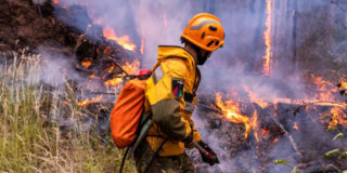 За неделю в 37 регионах России потушено 366 лесных пожаров