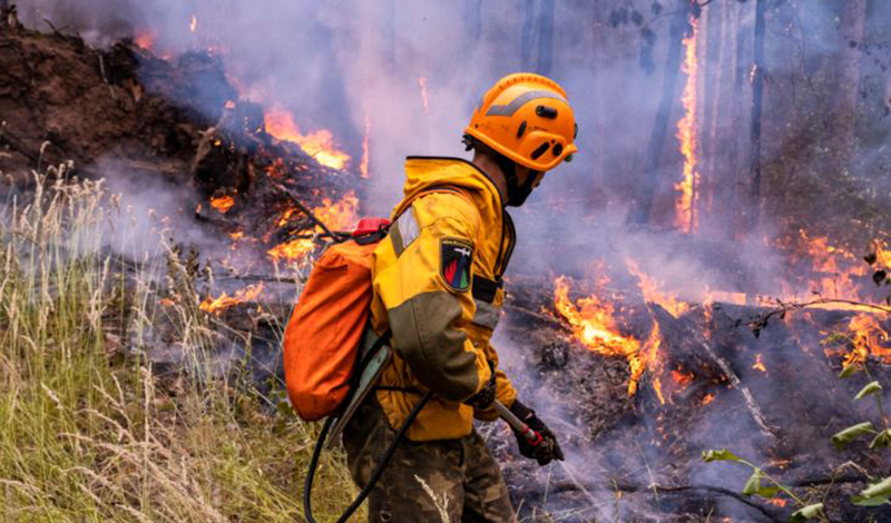 За неделю в 37 регионах России потушено 366 лесных пожаров