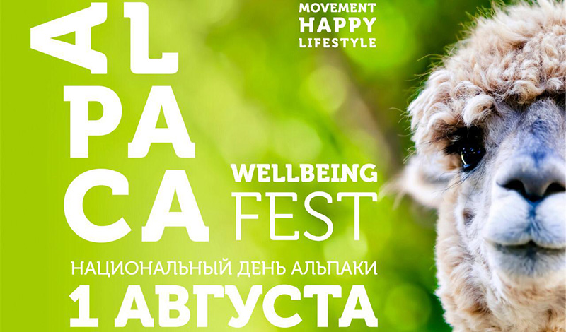 3аряд позитива и доброты – на летнем Alpaca Wellbeing Fest