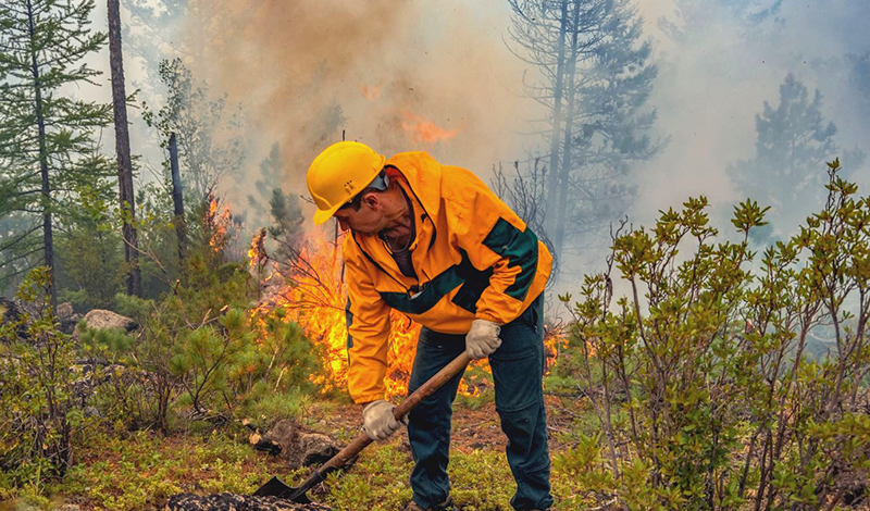 Парашютисты-десантники авиалесоохраны, наземные лесные службы потушили в 42 регионах России 380 лесных пожаров