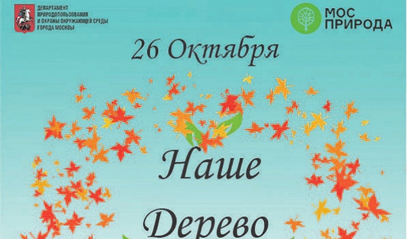 По программе «Наше дерево» в Москве осенью посадят 5 тыс. деревьев