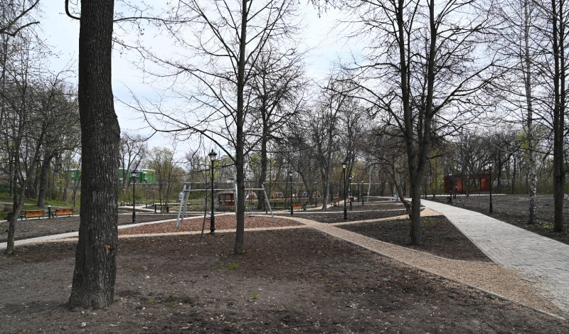 В Воронеже спроектируют первые этапы строительства «Петровского парка»