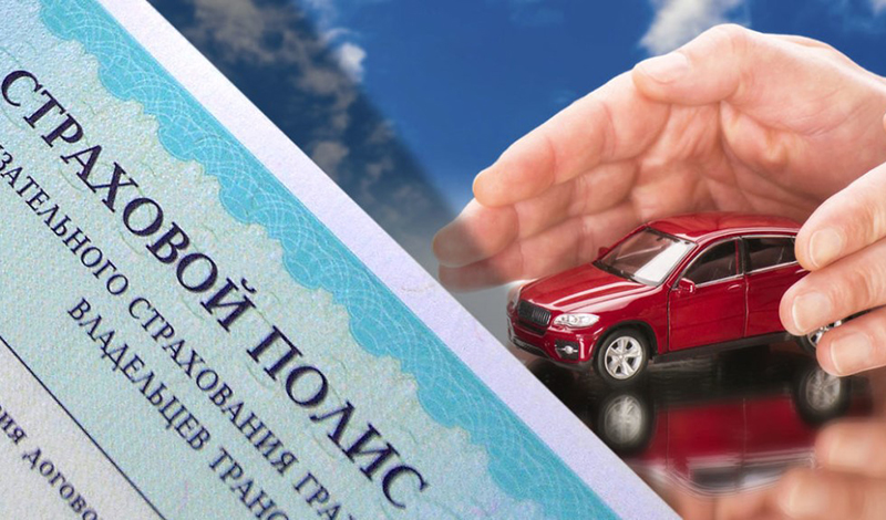 Евгения Лазарева, ОНФ: «Стоимость ОСАГО должна напрямую зависеть от поведения водителя на дороге»