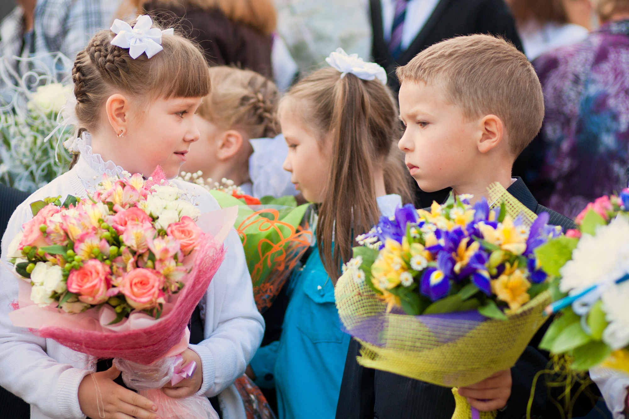 Российские экологи хотят запретить детям приносить живые цветы на 1 сентября