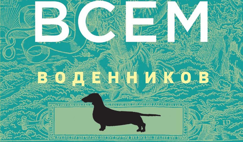 Современные поэты: кого читать осенью 2020?