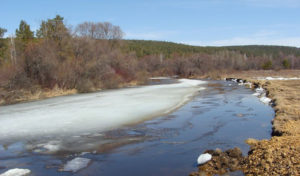В Иркутске расчистят заилившуюся реку Ушаковка