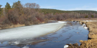 В Иркутске расчистят заилившуюся реку Ушаковка