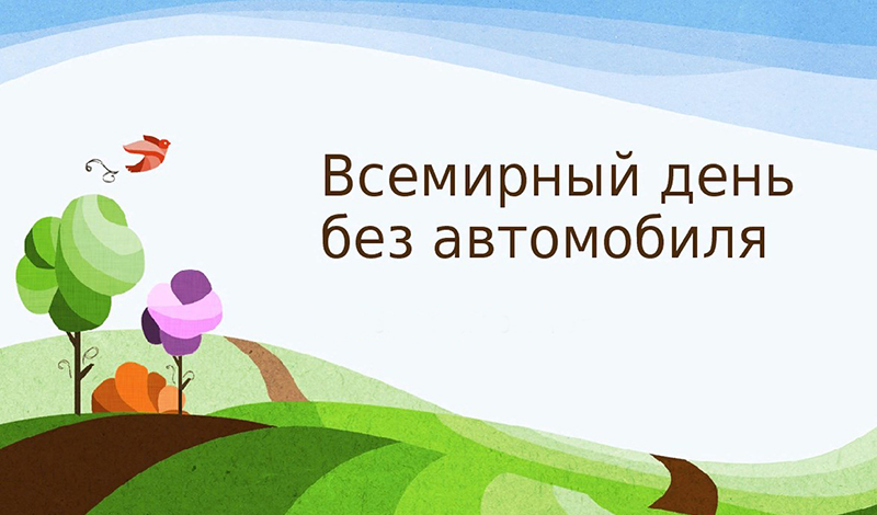 Всемирный день без автомобиля: какой транспорт выбирают петербуржцы в 2020