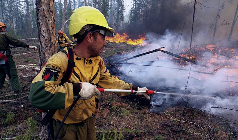 За неделю в 30 регионах России, в том числе в ЦФО, потушен 81 лесной пожар