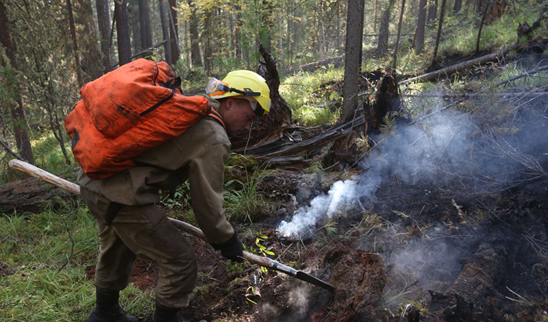 За неделю в 39 регионах России, в том числе ЦФО, потушено 132 лесных пожара на площади более 6 тысяч га.