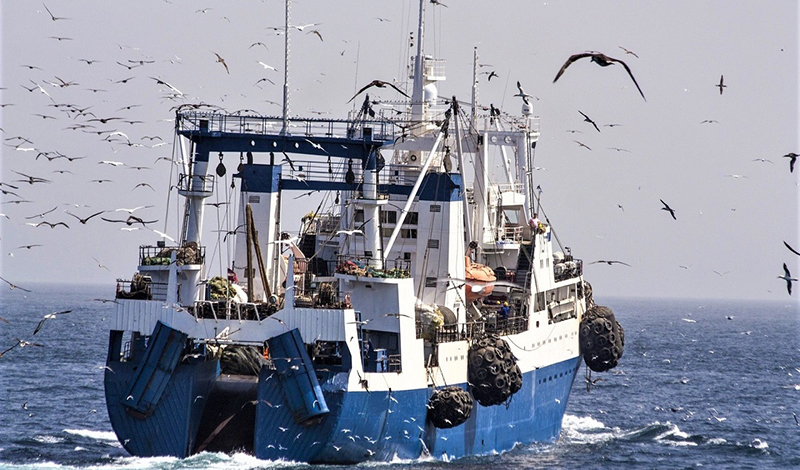 Рыболовный флот России пополнится двумя научно-исследовательскими судами