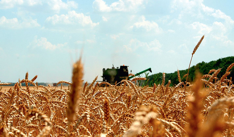 В Татарстане на приобретение минеральных удобрений аграрии получат 1 млрд рублей