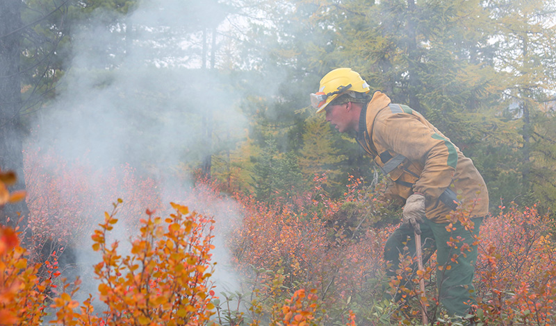 За неделю, с 19 по 25 октября, лесопожарные силы и привлеченные лица ликвидировали 95 лесных пожаров в 28 регионах России
