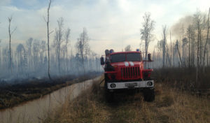 За неделю в 27 регионах России, в том числе в ЦФО, потушено 170 лесных пожаров