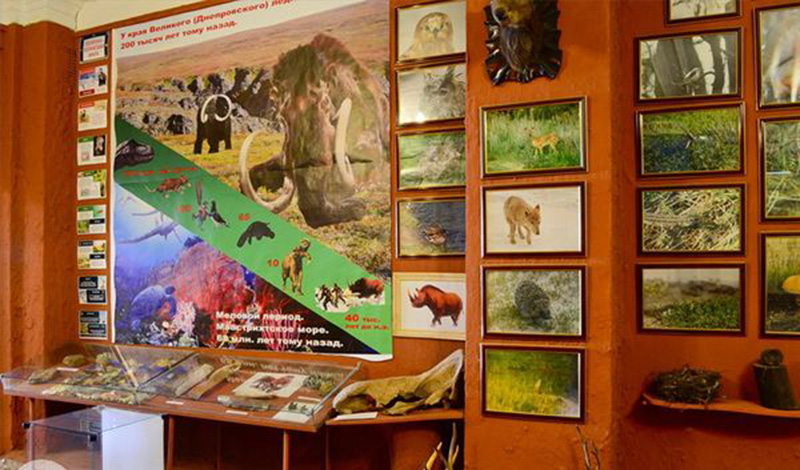 Козьмодемьянск превратят в живой музей истории, экологии и культуры