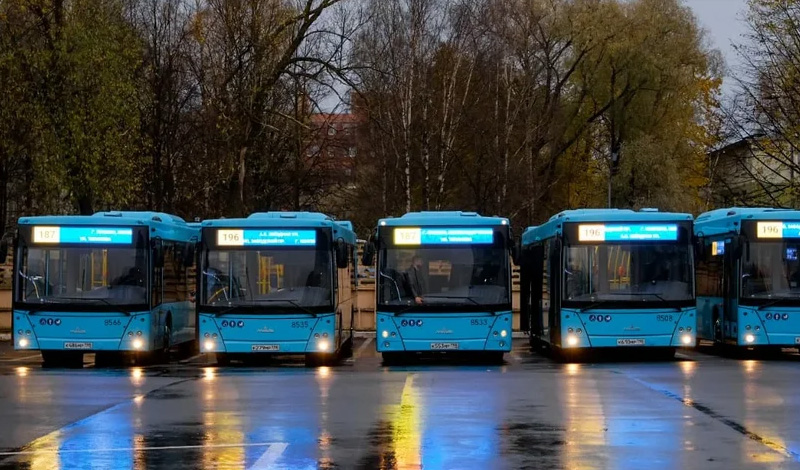 В Санкт-Петербурге пустили 154 автобуса МАЗ и обсуждают покупку электробусов