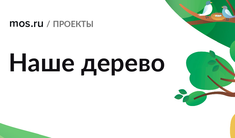 Проект «Наше дерево» - в одном ряду с мировыми экологическими акциями