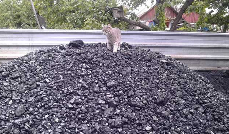В Ростовской области шахтерам-пенсионерам раздадут 30 тысяч тонн угля