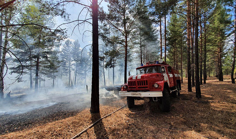 Забайкальский край получит технику для борьбы с лесными пожарами