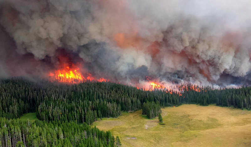 В Красноярском крае лесные пожары будут тушить 28 самолетов и вертолетов